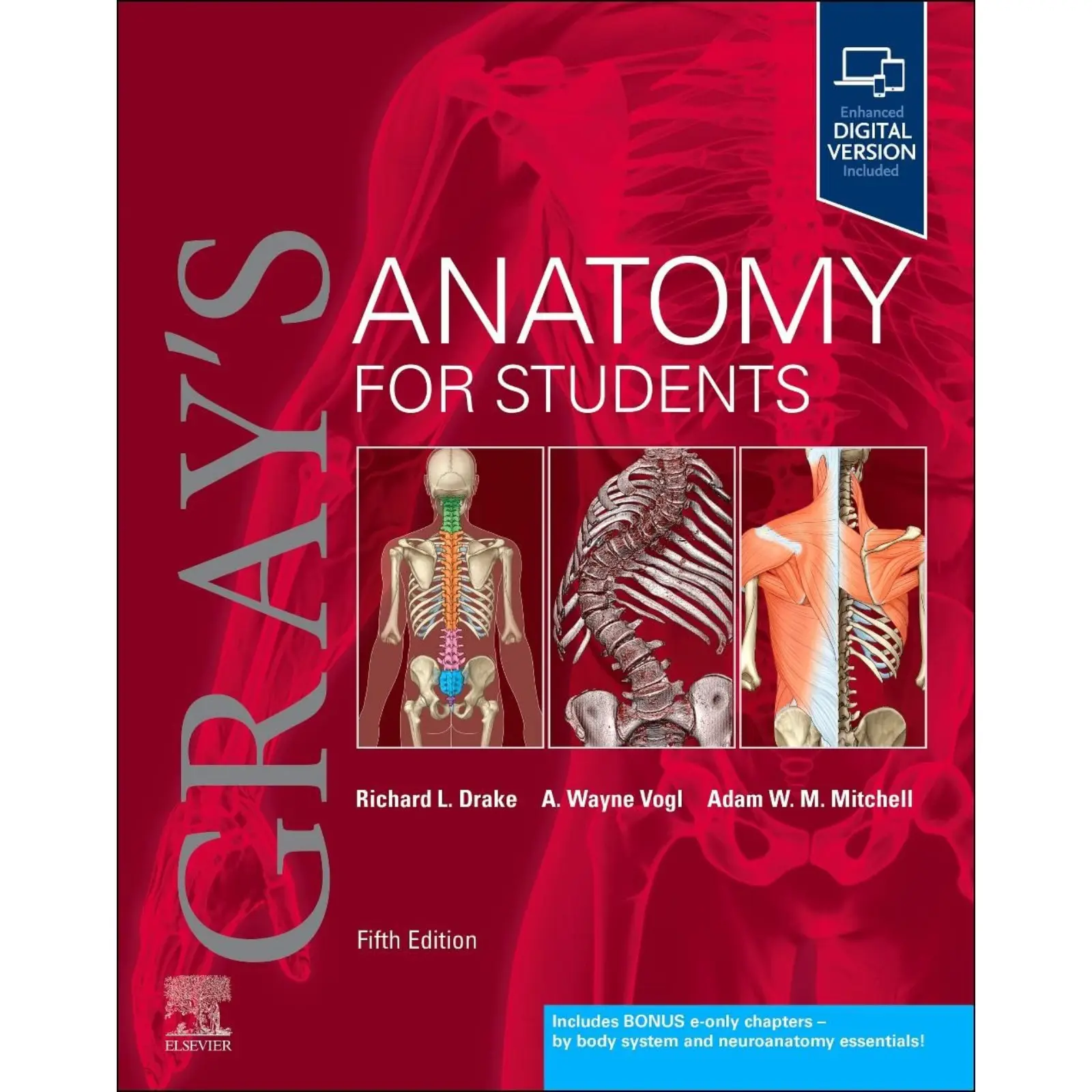 Gray’s Anatomy for Students, 5th Edition Gray’s Anatomy for Students, 5th Edition - Image 1